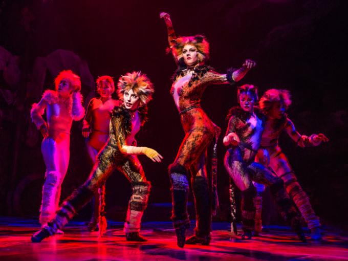 Cats at Providence Performing Arts Center